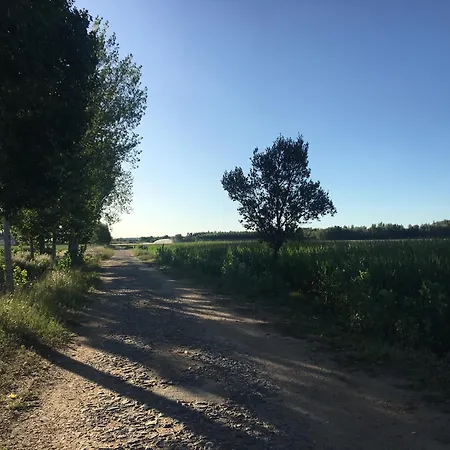 Olmo, Jardin Y Piscina A 20 Minutos De Salamanca *