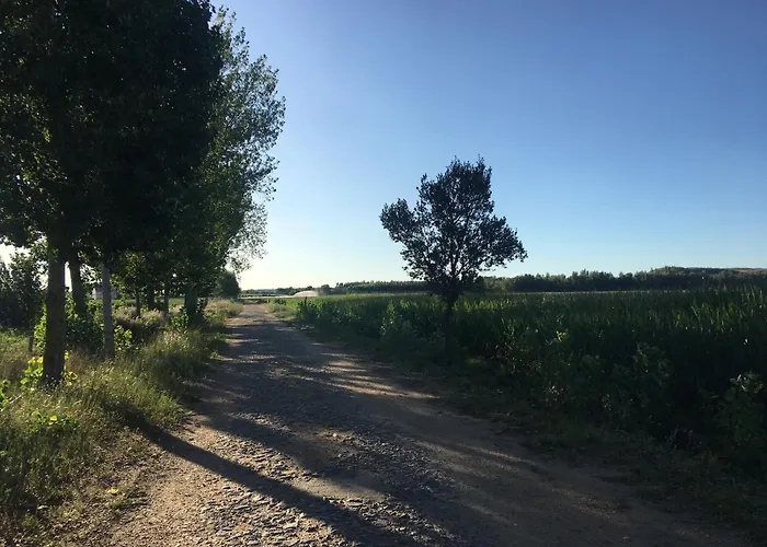 Olmo, Jardin Y Piscina A 20 Minutos De Salamanca *
